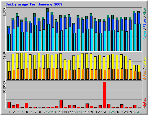 Daily usage for January 2009
