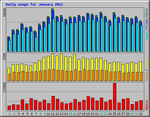 Daily usage for January 2011