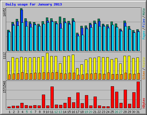 Daily usage for January 2013