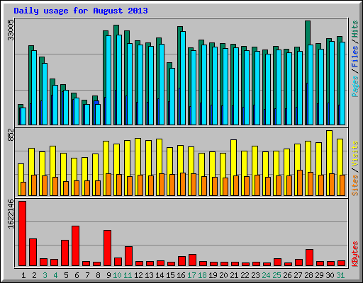 Daily usage for August 2013