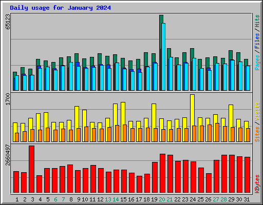 Daily usage for January 2024