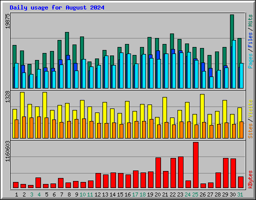 Daily usage for August 2024