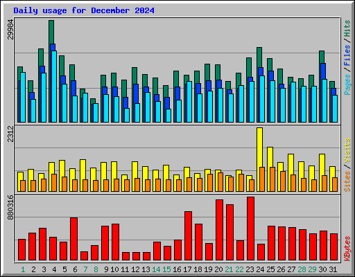 Daily usage for December 2024
