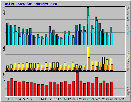 Daily usage for February 2025