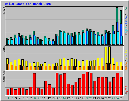 Daily usage for March 2025