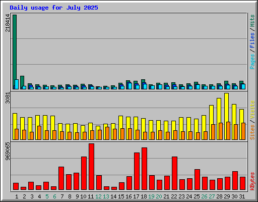 Daily usage for July 2025