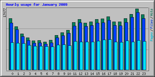 Hourly usage for January 2009
