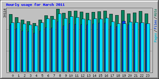 Hourly usage for March 2011