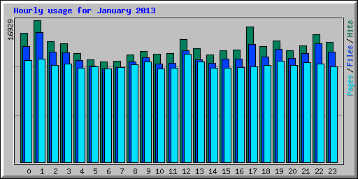 Hourly usage for January 2013