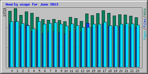 Hourly usage for June 2013