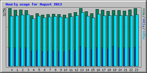 Hourly usage for August 2013