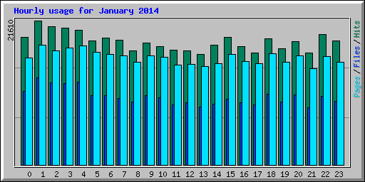 Hourly usage for January 2014