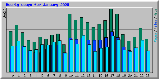 Hourly usage for January 2023