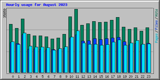 Hourly usage for August 2023