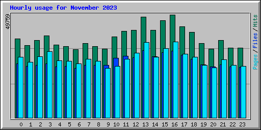 Hourly usage for November 2023