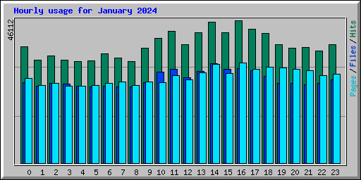 Hourly usage for January 2024