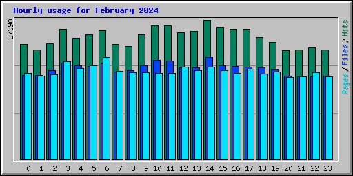 Hourly usage for February 2024