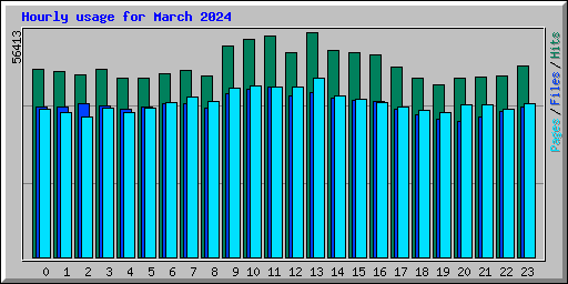 Hourly usage for March 2024