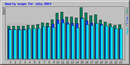 Hourly usage for July 2024