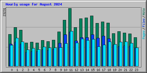 Hourly usage for August 2024