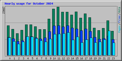 Hourly usage for October 2024