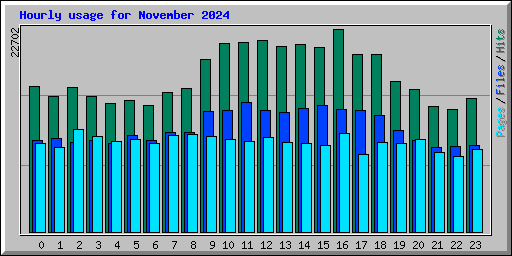 Hourly usage for November 2024