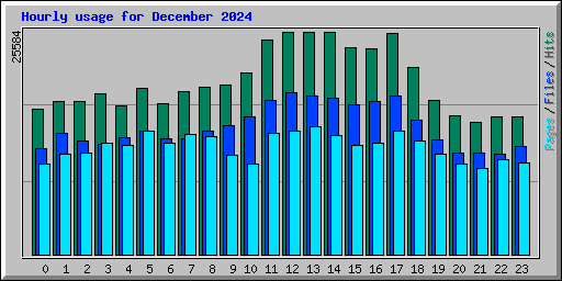 Hourly usage for December 2024
