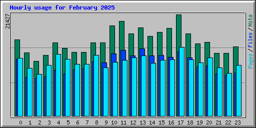 Hourly usage for February 2025