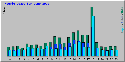 Hourly usage for June 2025