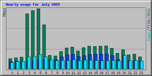 Hourly usage for July 2025