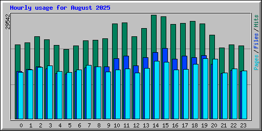 Hourly usage for August 2025
