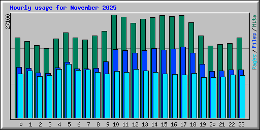 Hourly usage for November 2025