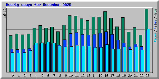 Hourly usage for December 2025