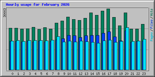 Hourly usage for February 2026