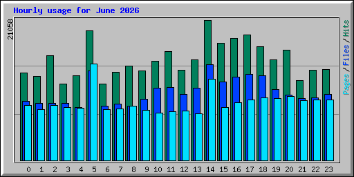 Hourly usage for June 2026
