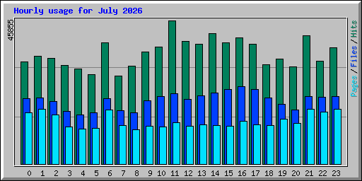 Hourly usage for July 2026