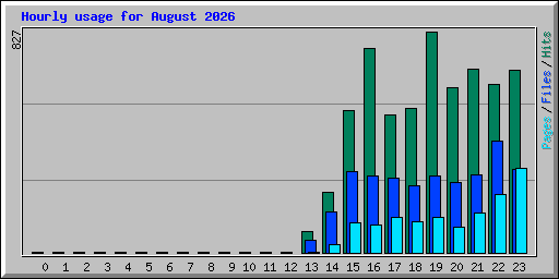 Hourly usage for August 2026